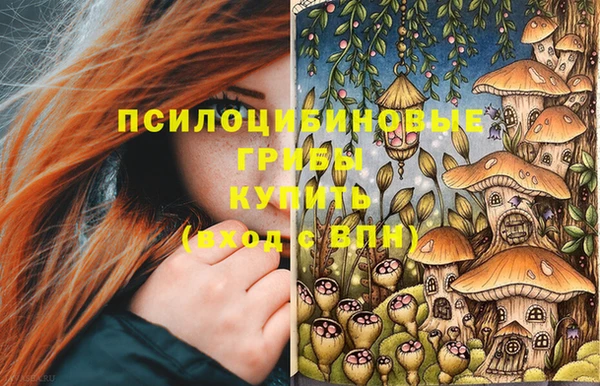 гидропоника Абдулино