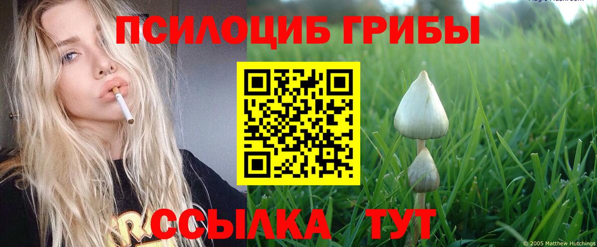 Галлюциногенные грибы мухоморы  Вход с VPN  купить наркотики цена  Рославль 